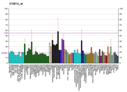 PBB GE TRPC3 210814, fs.png'de