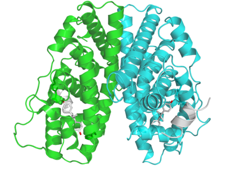 Reseptor estrogen