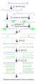 Thumbnail for version as of 17:16, 15 April 2013