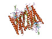 PDB 1hzx EBI.jpg