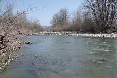 river Paglia near of Ponte a Rigo