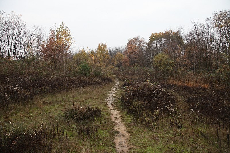 File:Parco Groane 11-2010 - panoramio (2).jpg