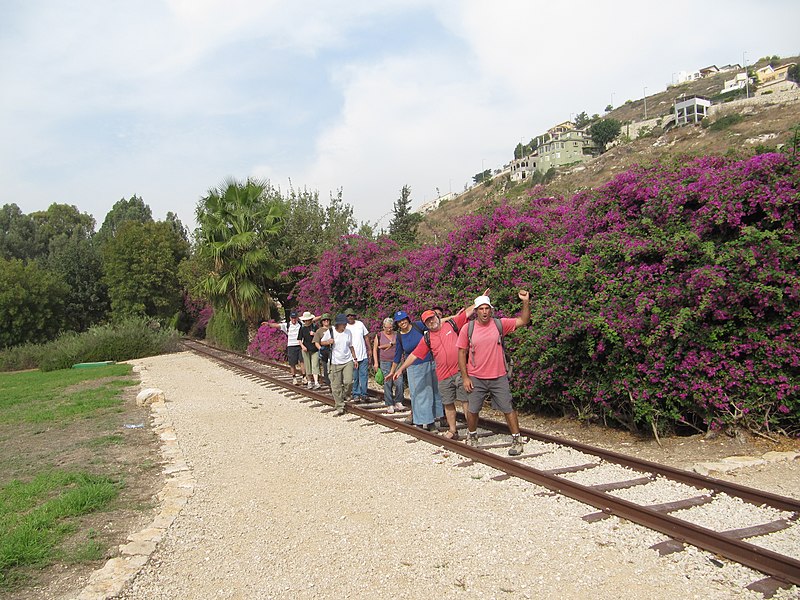 File:Park HaAmakim 50.jpg