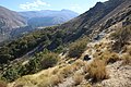 Montane habitat of Agriades zullich Sierra Nevada, Spain