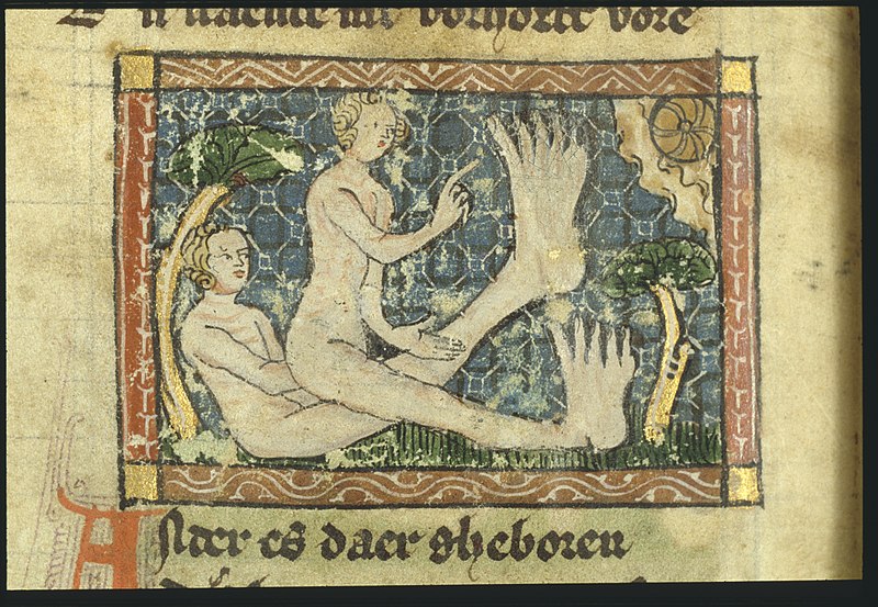 File:People with one foot - Der naturen bloeme - Jacob van Maerlant - KB KA 16 - 041v b1.jpg