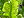 Berkas: Phyllitis scolopendrium0.jpg (row: 20 column: 21 )