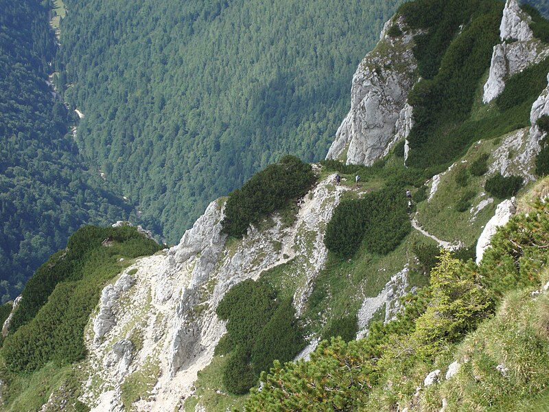 File:Piatra Craiului - Lanturi.JPG