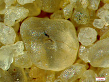 Pitted sand grains from the Western Desert, Egypt. Pitting is a consequence of wind transportation. Pitted sand grains Western Desert.jpg
