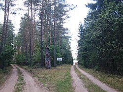 Подляское воеводство - Пласка - Мулы 20150822 02.JPG