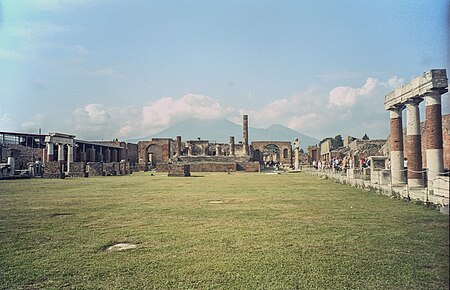 Forum