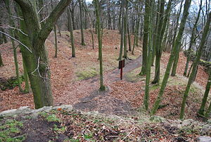 View from the round tower of the castle ruins to the summit