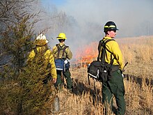 a prescribed burn on federal land Prescribed burning at Buffalo National River (1292519c-2034-4a45-a50b-b33a7b0365bf).jpg