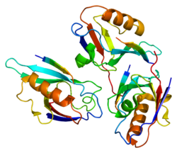 Протеин DVL3 PDB 1l6o.png