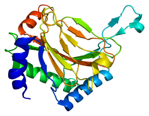 Ген белок фермент. Структура белка PYMOL. Белок HIF. Hif1a ген.