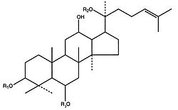 Общая формула веществ на основе протопанаксатриола. R1 — углевод, R2, R3 — Н или углеводы