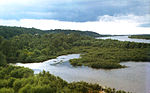 Vignette pour Parc national de la Pripiat