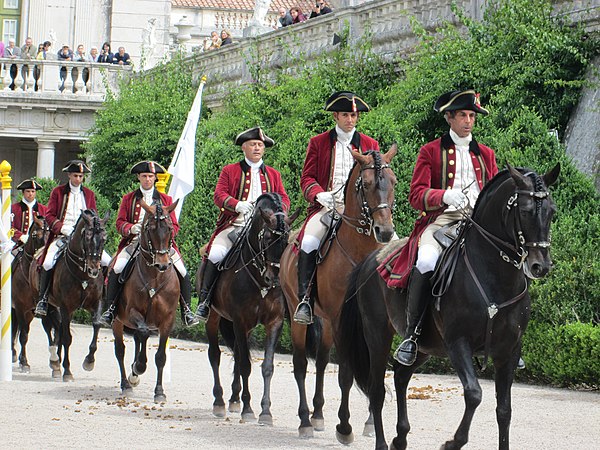 Lusitano riders of the Portuguese School of Equestrian Art, one of the "Big Four" most prestigious riding academies in the world, alongside the Cadre 