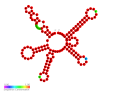 Thumbnail for SprX small RNA