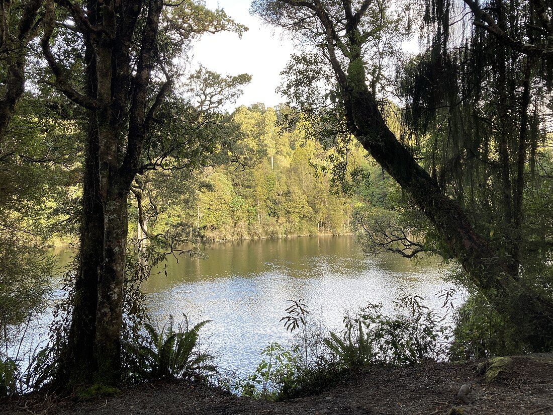 Arnold River (New Zealand)