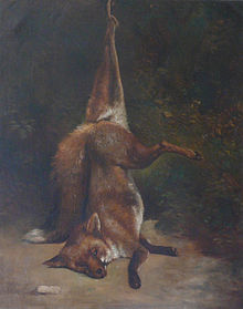 Nature morte, un renard pendu par une patte