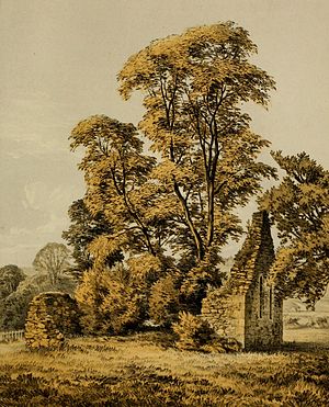 Ruinous St Michael's Chapel, about 1869. Ruinous Faslane Chapel.jpg