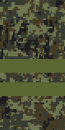 Russia-Army-OR-4.svg