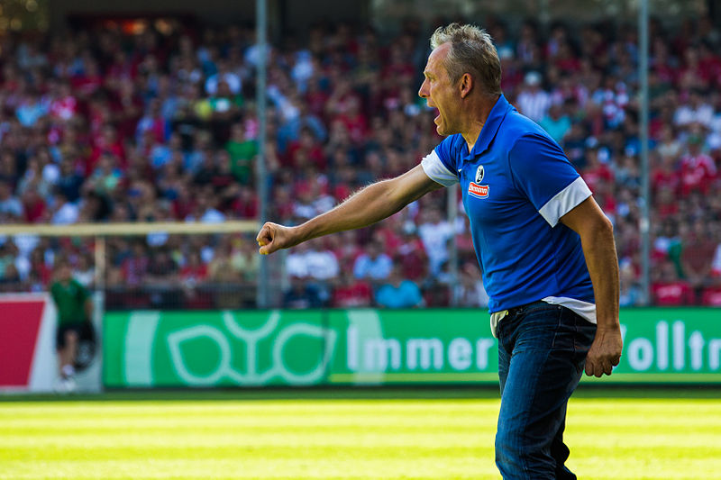 File:SC Freiburg vs FSVMainz 17 août 2013 44.jpg