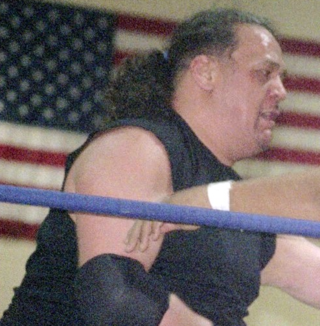 <span class="mw-page-title-main">Samu (wrestler)</span> American professional wrestler