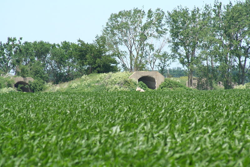 File:Sangamon Ordnance Plant 1252.JPG