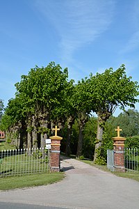 Schleswig-Holstein, Haseldorf, Naturdenkmal 24-01 NIK 4187.JPG