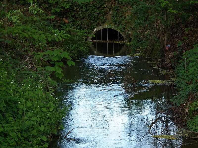 File:Schmutzfanggitter Kandelbach Ladenburg.JPG