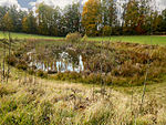 Erkenbrechtsweiler Berghalbinsel (mit Hörnle und Jusi)