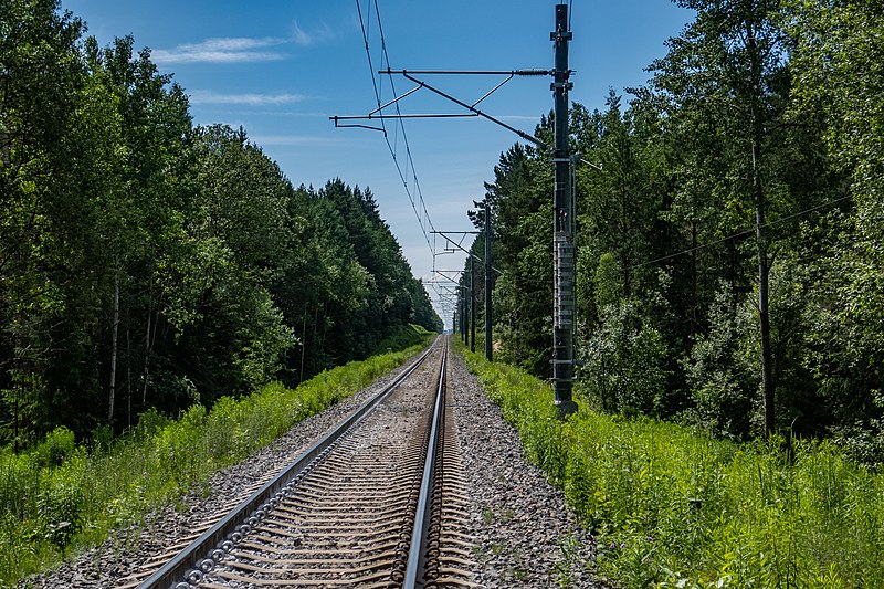 File:Sciklieva reserve (Belarus, June 2020) 05.jpg