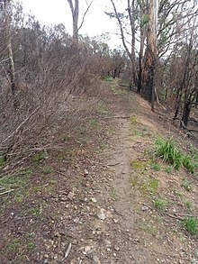 The Scoresby Tramway, 1912–1915, now partly in the national park, carried crushed rock  for Dandenong Shire Council.