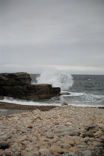 File:Sheaves Cove NFLD.JPG