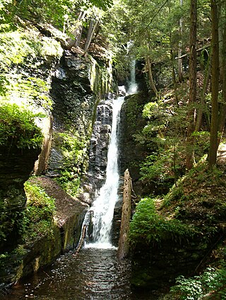 <span class="mw-page-title-main">Delaware Water Gap National Recreation Area</span> Protected area