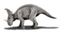 Sinoceratops, um dinossauro.
