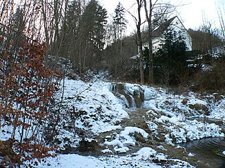 Weissenbrunn sinter terraces in front of the forest