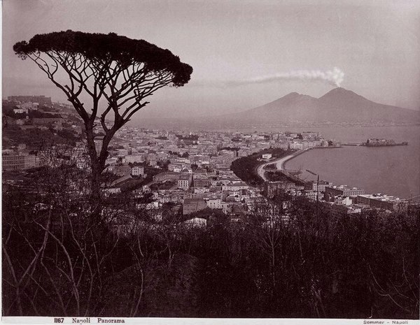 Famous view of Vesuvius and the historic Pine of Naples overlooking the city of Naples in the 19th century, by Giorgio Sommer