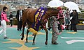 2013年阪神牝馬S表彰式