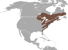 Distribución de C. cristata