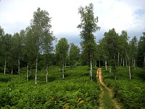 Bela Krajina: Geographie, Ortschaften, Rohstoffe