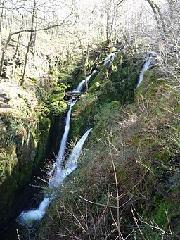 Stockghyll Force - geograph.org.uk - 1332905