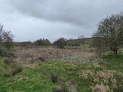 Stoke Bruerne Brick Pits 1.jpg