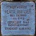 Aninger, Klara