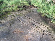 The Sun Goddess rock carving on Bidston Hill Sun Goddess on Bidston Hill-by-Peter-Craine.jpg