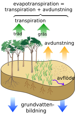 File:Surface water cycle sv.svg