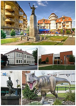 Svilajnac- collage of image (Mara Resavkinja square, City hall, Natural History Center Svilajnac, Stevan Sinđelić monument, Statue of a tyrannosaurus in a natural history center)