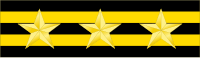 TW-Police-Rank 06.svg