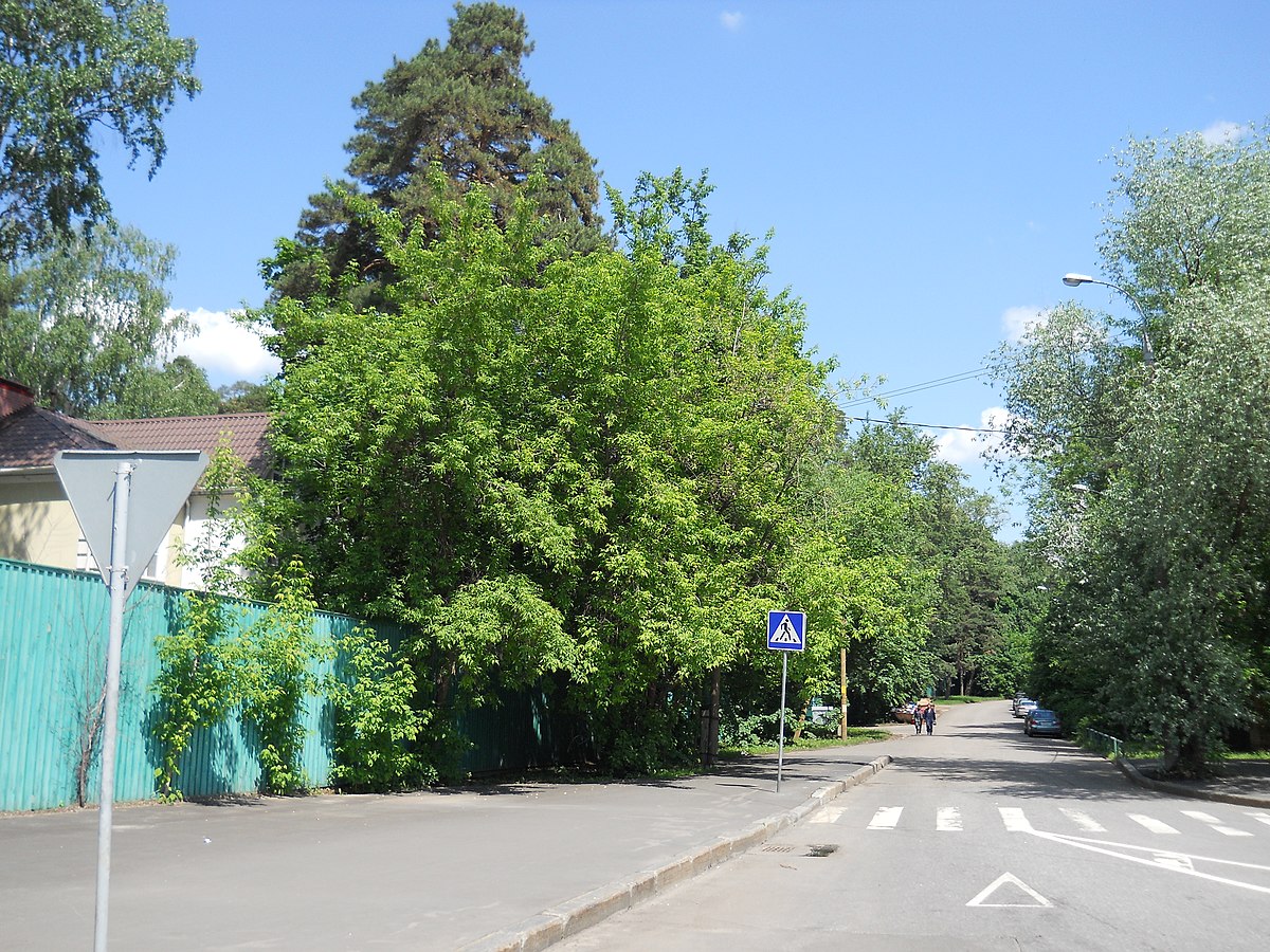 Улица московская 5. Новопоселковская улица Москва. Зонтичный переулок Москва. Таманская улица стр.2а. Бригадный переулок Москва.